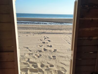 Strand Groot Valkenisse